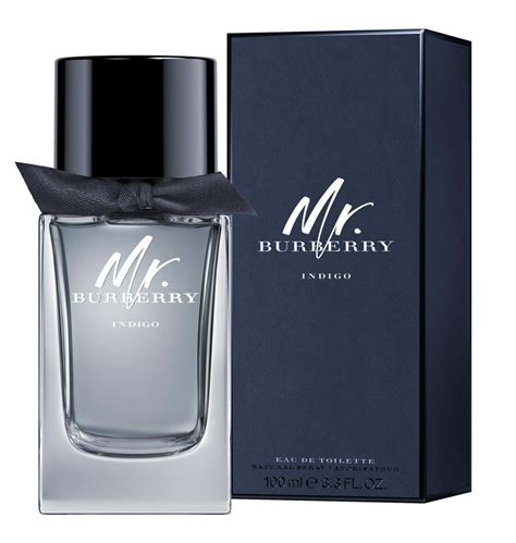 my burberry perfume men|burberry perfume for men price.